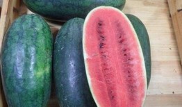 山东网红吃瓜真实的视频,趣味横生一幕幕