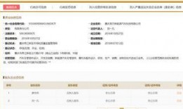 正经家族最新爆料网站,揭秘家族内幕，独家揭秘不为人知的故事