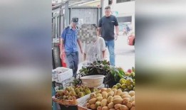 后营水果店爆料视频大全,视频大全揭秘水果新鲜与品质